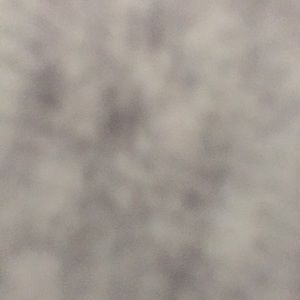 Meet your Posher, Ravneet